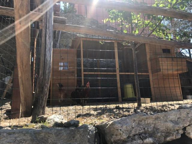 Appartamento Ulivo Finale Ligure Exterior foto